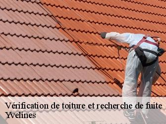 Vérification de toiture et recherche de fuite