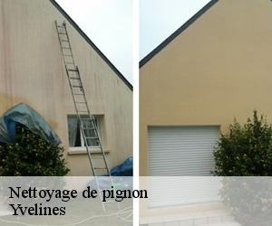 Nettoyage de pignon Yvelines 