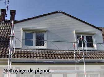 Nettoyage de pignon Yvelines 