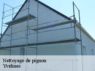 Nettoyage de pignon Yvelines 