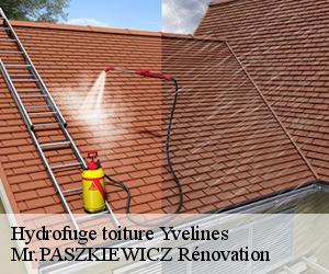 Hydrofuge toiture 78 Yvelines  Mr.PASZKIEWICZ Rénovation