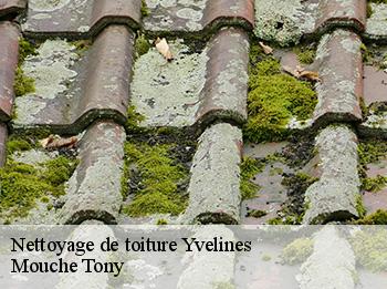 Nettoyage de toiture 78 Yvelines  Mouche Tony
