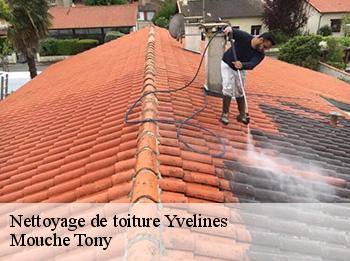 Nettoyage de toiture Yvelines