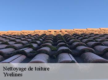 Nettoyage de toiture