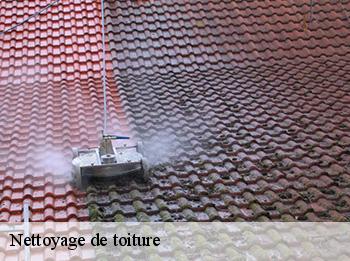 Nettoyage de toiture Yvelines