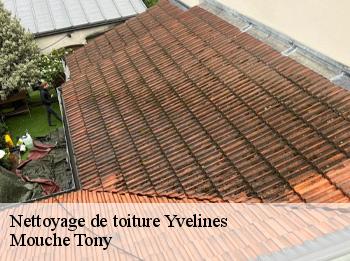 Nettoyage de toiture