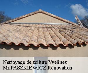 Nettoyage de toiture 78 Yvelines  Mr.PASZKIEWICZ Rénovation