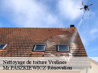 Nettoyage de toiture Yvelines 