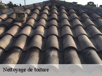 Nettoyage de toiture Yvelines 