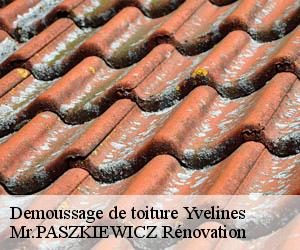 Demoussage de toiture 78 Yvelines  Mr.PASZKIEWICZ Rénovation