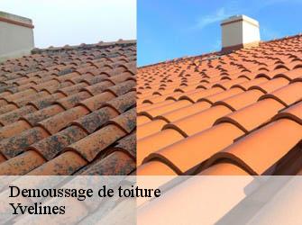 Demoussage de toiture Yvelines 