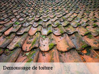 Demoussage de toiture Yvelines 