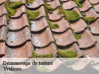 Demoussage de toiture Yvelines 