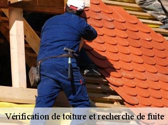 Vérification de toiture et recherche de fuite