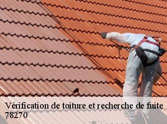 Vérification de toiture et recherche de fuite