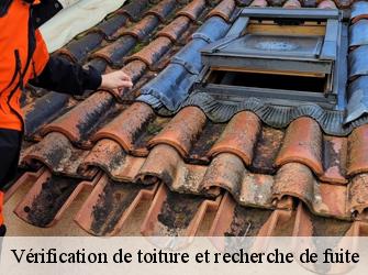 Vérification de toiture et recherche de fuite