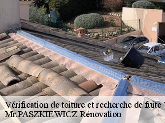 Vérification de toiture et recherche de fuite  78220