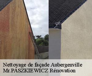 Nettoyage de façade  aubergenville-78410 Mr.PASZKIEWICZ Rénovation