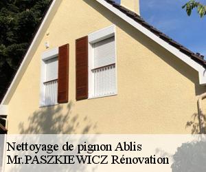 Nettoyage de pignon  ablis-78660 Mr.PASZKIEWICZ Rénovation