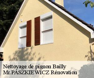 Nettoyage de pignon  bailly-78870 Mr.PASZKIEWICZ Rénovation