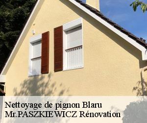 Nettoyage de pignon  blaru-78270 Mr.PASZKIEWICZ Rénovation