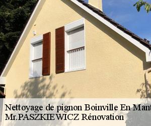 Nettoyage de pignon  boinville-en-mantois-78930 Mr.PASZKIEWICZ Rénovation