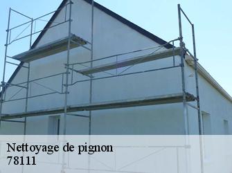 Nettoyage de pignon  78111