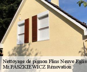 Nettoyage de pignon  flins-neuve-eglise-78790 Mr.PASZKIEWICZ Rénovation