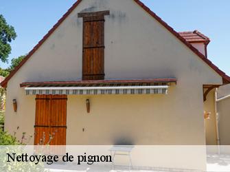 Nettoyage de pignon