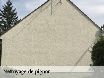 Nettoyage de pignon