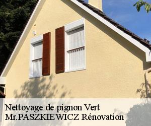 Nettoyage de pignon  vert-78930 Mr.PASZKIEWICZ Rénovation