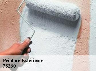 Peinture Extérieure  78260