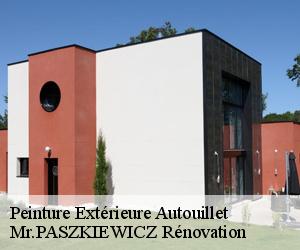 Peinture Extérieure  autouillet-78770 Mr.PASZKIEWICZ Rénovation