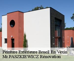 Peinture Extérieure  brueil-en-vexin-78440 Mr.PASZKIEWICZ Rénovation