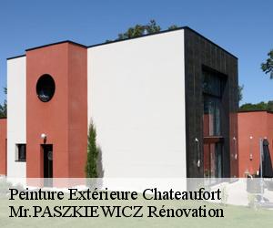 Peinture Extérieure  chateaufort-78117 Mr.PASZKIEWICZ Rénovation