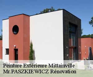 Peinture Extérieure  mittainville-78125 Mr.PASZKIEWICZ Rénovation