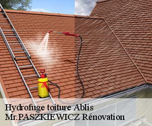 Hydrofuge toiture  ablis-78660 Mr.PASZKIEWICZ Rénovation