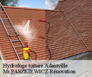 Hydrofuge toiture  adainville-78113 Mr.PASZKIEWICZ Rénovation