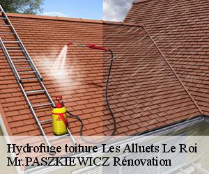 Hydrofuge toiture  les-alluets-le-roi-78580 Mr.PASZKIEWICZ Rénovation