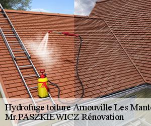 Hydrofuge toiture  arnouville-les-mantes-78790 Mr.PASZKIEWICZ Rénovation