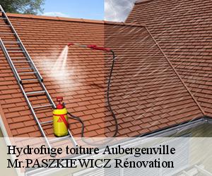 Hydrofuge toiture  aubergenville-78410 Mr.PASZKIEWICZ Rénovation