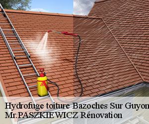 Hydrofuge toiture  bazoches-sur-guyonne-78490 Mr.PASZKIEWICZ Rénovation