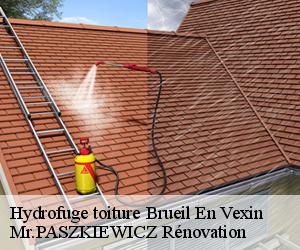 Hydrofuge toiture  brueil-en-vexin-78440 Mr.PASZKIEWICZ Rénovation