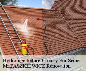 Hydrofuge toiture  croissy-sur-seine-78290 Mr.PASZKIEWICZ Rénovation