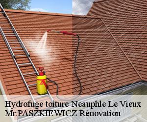 Hydrofuge toiture  neauphle-le-vieux-78640 Mr.PASZKIEWICZ Rénovation