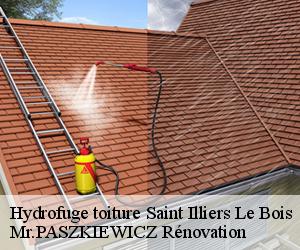 Hydrofuge toiture  saint-illiers-le-bois-78980 Mr.PASZKIEWICZ Rénovation