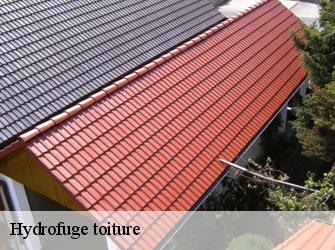 Hydrofuge toiture