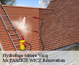 Hydrofuge toiture  vicq-78490 Mr.PASZKIEWICZ Rénovation