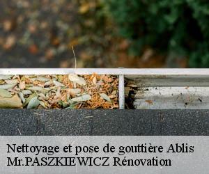 Nettoyage et pose de gouttière  ablis-78660 Mr.PASZKIEWICZ Rénovation