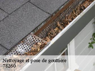 Nettoyage et pose de gouttière  78260